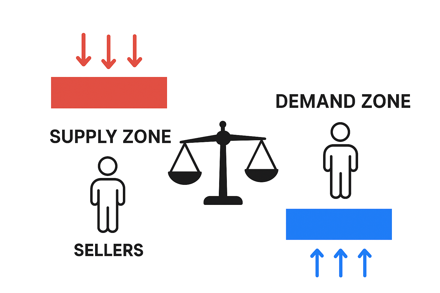 Supply and Demand Concept Explained